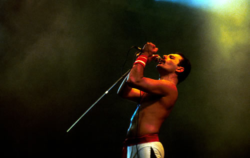 Freddie =D I love him!